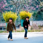 vietnam vietnameseluxurytrvel.com