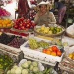 fruits in vietnam