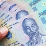 vietnamese 500k dong money